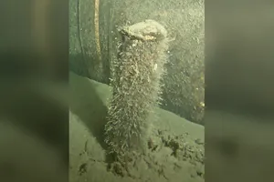 Một vật thể không xác định được tìm thấy gần đường ống Nord Stream 2 trên biển Baltic. Ảnh: BỘ QUỐC PHÒNG ĐAN MẠCH