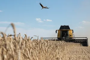 Nga liệt kê 7 điều kiện nối lại thỏa thuận ngũ cốc