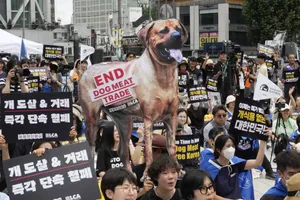 Hàn Quốc tính cấm tiêu thụ thịt chó