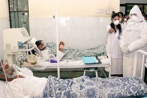 Anh phát hiện trường hợp người nhiễm virus cúm giống của lợn