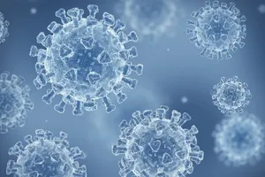 COVID-19 tăng nhiễm trong mùa đông, từ Âu sang Á khẩn trương ứng phó biến thể phụ JN.1 