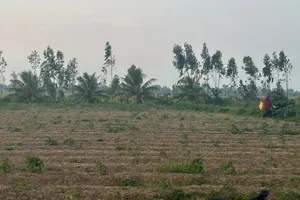 Chuyên gia quốc tế mách kế giải quyết xâm nhập mặn miền Tây