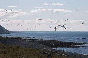 Nga chấm dứt cơ chế hợp tác với Na Uy, Phần Lan và Thụy Điển 