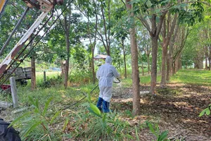 Thái Lan ghi nhận hai ca tử vong do bệnh than chỉ trong 3 ngày