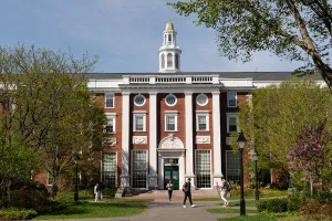 Thực hư chuyện Mỹ muốn bỏ chương trình thực tập OPT cho sinh viên quốc tế sau tốt nghiệp