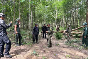 13 người Campuchia thiệt mạng trong giao tranh sáng nay; Ông Thaksin dự báo xung đột và hoà giải 