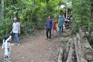 Một người chết, một người bị thương vì mấy cây tràm