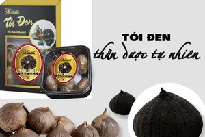 Tỏi đen: Thần dược hỗ trợ chữa ung thư