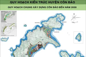 Gỡ vướng dự án khu tái định cư 'đụng' rừng cây ở Côn Đảo