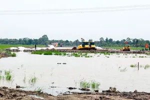 Bộ GTVT thúc tiến độ cao tốc Bắc - Nam đoạn Cần Thơ - Cà Mau