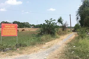 Đề xuất cấm phân lô, bán nền ở TP.HCM: Cần đảm bảo quyền lợi người dân