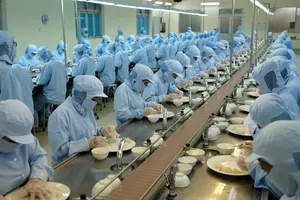 Chế biến yến sào tại Tổng Công ty Yến sào Khánh Hòa. Ảnh: PV