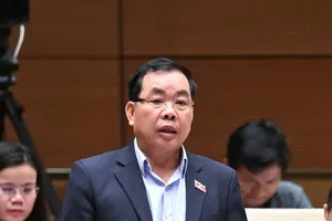 Sáp nhập TP.HCM, Bà Rịa - Vũng Tàu và Bình Dương, quy hoạch sẽ ra sao?