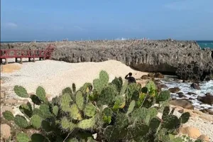 Ngắm vẻ đẹp hoang sơ, cuốn hút của Vườn quốc gia Núi Chúa - Phước Bình