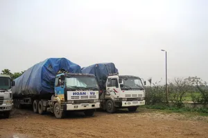 Chở gỗ quá tải đi đêm, trốn không thoát