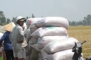 Công bố ngay việc mua tạm trữ 1 triệu tấn gạo từ 15-3