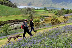 Mùa hè ở Anh Quốc 