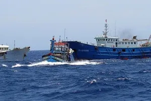 Trung Quốc đang kể câu chuyện cá bé “ăn thịt” cá lớn