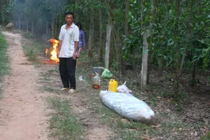 Phát hiện xác người đàn ông phân hủy trong vườn cây