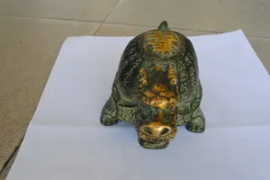 Người dân phát hiện rùa đồng cổ