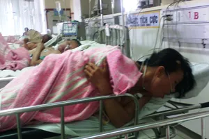 7 người chết và nhập viện do ăn cá nóc