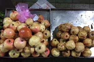 Rùng mình với trái cây của Trung Quốc