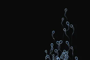 Phát hiện mới: đàn ông đẹp trai có chất lượng tinh trùng kém