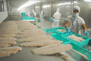 Gần 2.600 hồ sơ được cấp trong tháng đầu thực hiện đăng ký HĐXK cá tra