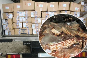 Bắt cả xe tải pín bò lậu ở Nga