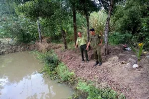 Miền Trung: Liên tiếp heo rừng tấn công gây chết người