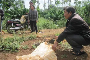 Bé gái sơ sinh bị bỏ bên đường với một mảnh giấy