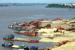 Cát tặc và xe quá tải đang phá đê sông Hồng