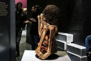 Cuộc triển lãm trưng bày xác ướp