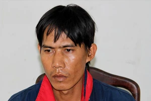 Họa từ giải hòa