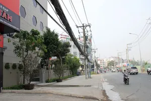 Truy bắt hai kẻ cạy cửa xe trộm gần 1,5 tỷ đồng