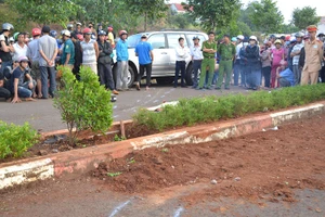 Lao như tên bắn, xe hơi tông chết nhân viên trồng cây xanh bên đường