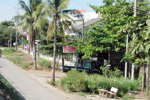 Bán café ‘nhân tiện’ môi giới mại dâm