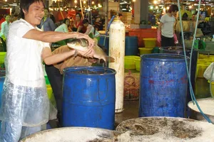 Chủ động phòng chống ngộ độc thực phẩm