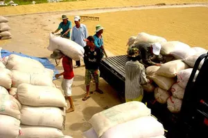 Chính phủ hỗ trợ hơn 4.000 tấn gạo cho 8 tỉnh