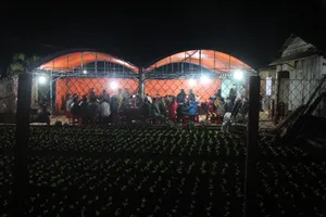 Đâm cha 2 nhát tử vong để cứu mẹ