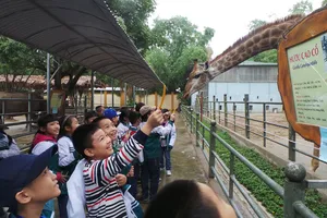 Lo con quên chữ ngày Tết, bố mẹ giao bài làm thêm