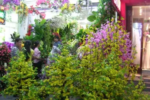 Sôi động thị trường hoa giả những ngày cuối năm