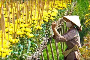 Dự báo thời tiết 10 ngày nghỉ Tết trên cả nước 