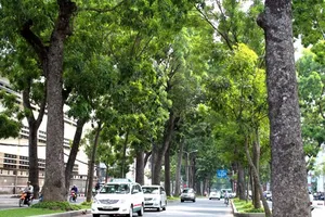 Nam Bộ tiếp tục nắng nhiều đến tháng ba