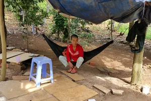 Khởi tố bị can người mẹ tiêm thuốc diệt cỏ vào con