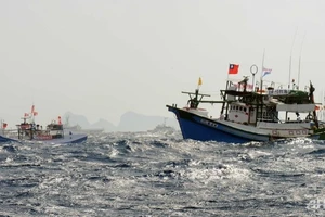 Hai thuyền viên Việt Nam trên tàu cá Đài Loan mất tích