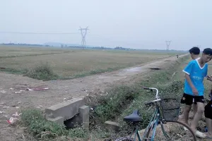 Hai mẹ con bị sét đánh tử vong trên đồng