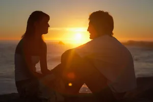 Gà trống cần tìm gà mái