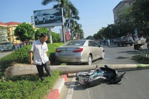 Xe ô tô tông xe máy, càn gãy cả cây cau vua lớn bên đường