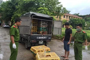 Chở gà thải Trung Quốc về Việt Nam thù lao 1 triệu đồng